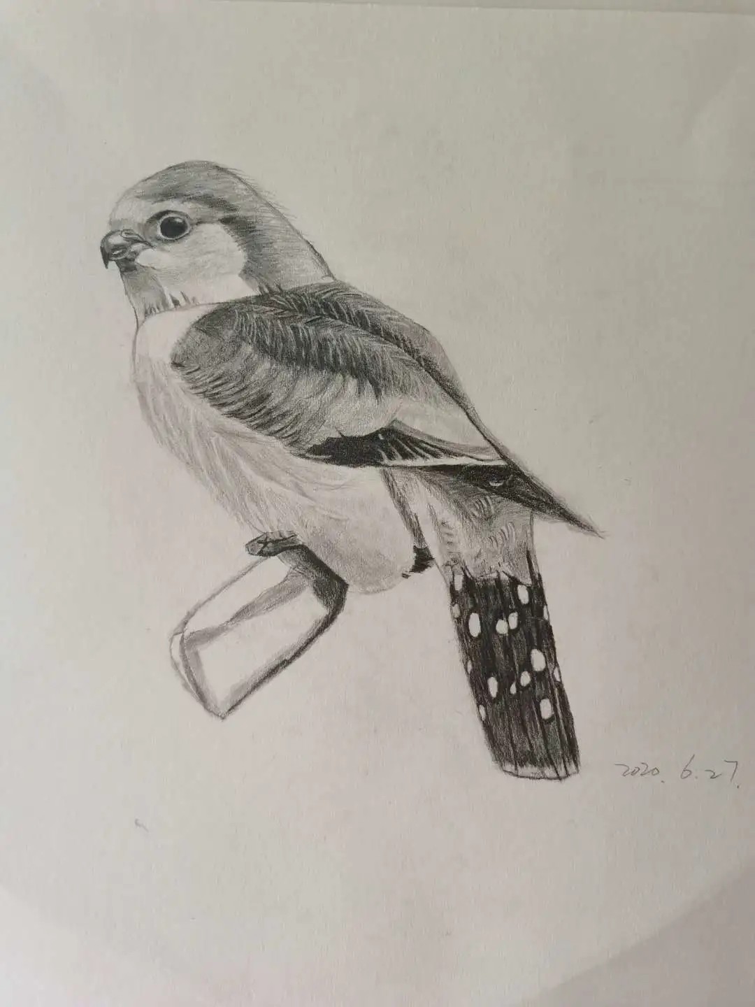 谢谢我们的陈老师,谢谢关心我们的孙老师,让我实现了画素描的梦想!