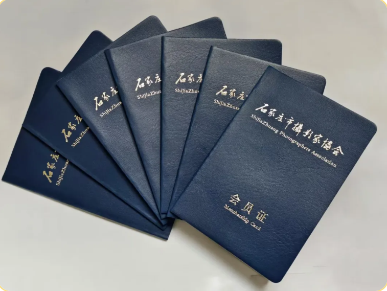 喜报！我校7名学员加入石家庄市摄影家协会